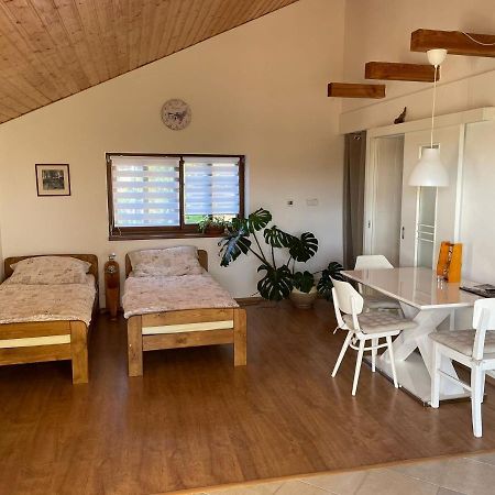 Apartman V Podhuri Jizerskych Hor Zelezny Brod Экстерьер фото